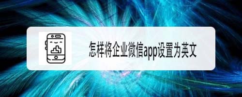 企业微信app怎么设置英文语言? 企业微信app切换语言的方法