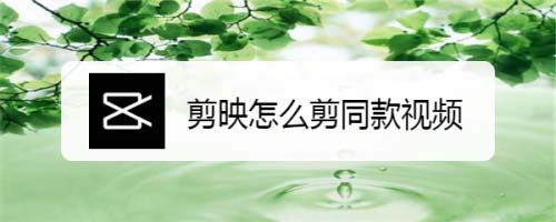 剪映APP剪同款怎么保存? 剪映剪同款的技巧