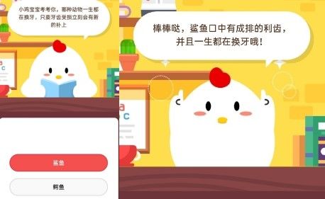 哪种动物一生都在换牙 只要牙齿受损立刻会有新的补上 蚂蚁庄园5月29日答案