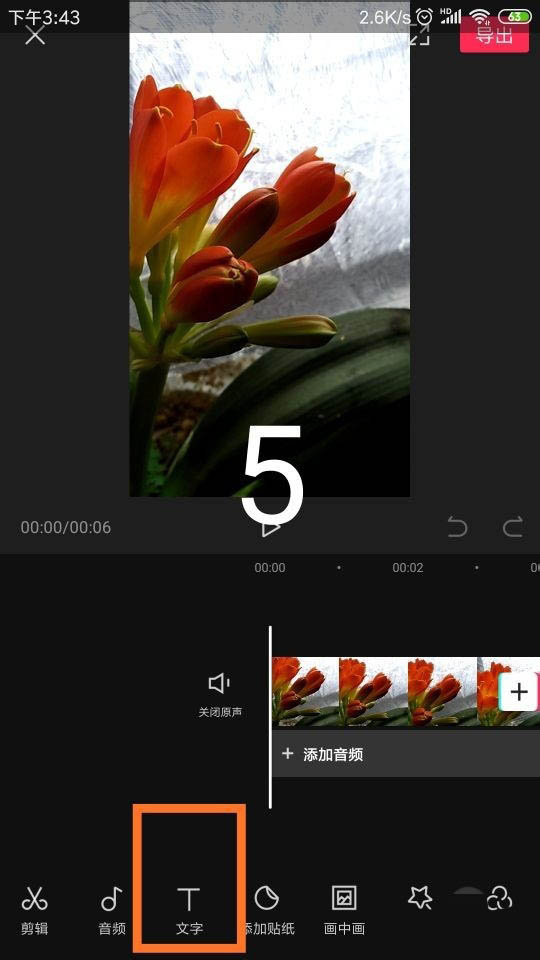 剪映app视频字幕怎么删除? 剪映删除字幕的教程