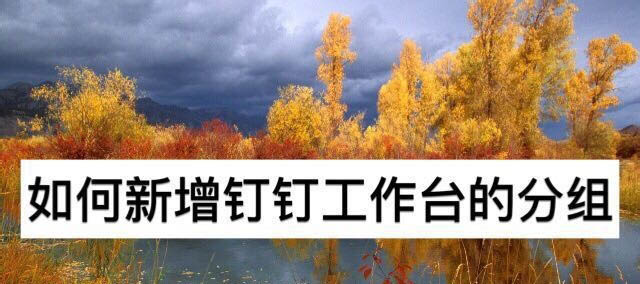 钉钉工作台在哪里? 钉钉工作台新增分组的技巧