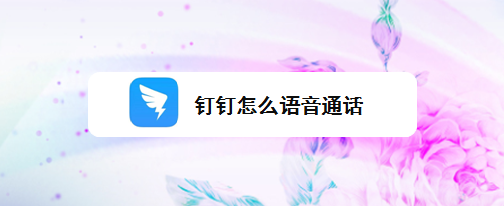 钉钉app怎么打语音电话? 钉钉语音通话的技巧