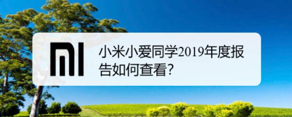 小米小爱同学怎么查看2019年度趣味报告?
