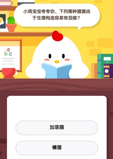 哪种猫猫由于生理构造容易有泪痕 1月5日支付宝蚂蚁庄园课堂答案