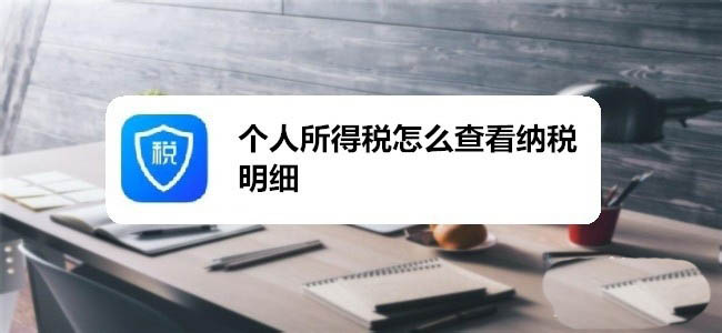 个人所得税app怎么查看纳税明细?