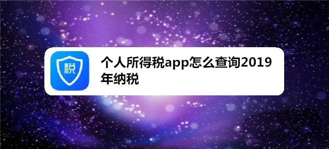 个人所得税app怎么查询2019年纳税情况?
