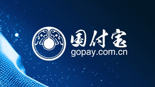 什么是国付宝 国付宝app主要功能及主要业务汇总分享
