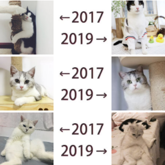 朋友圈晒2017-2019对比是什么梗?2017和2019的照片刷屏怎么回事