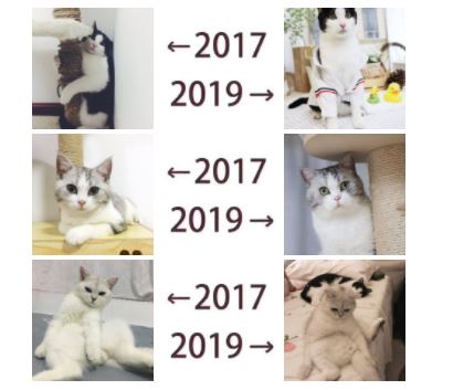 朋友圈晒2017-2019什么意思 2017和2019对比的是什么梗
