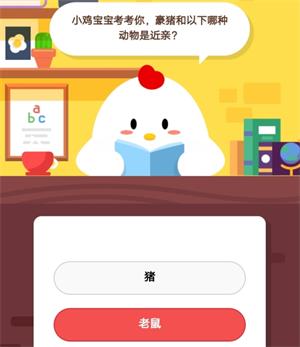 豪猪和以下哪种动物是近亲 蚂蚁庄园小课堂11月17日答案