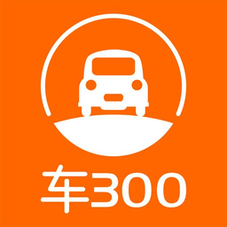 车300二手车评估官方版软件