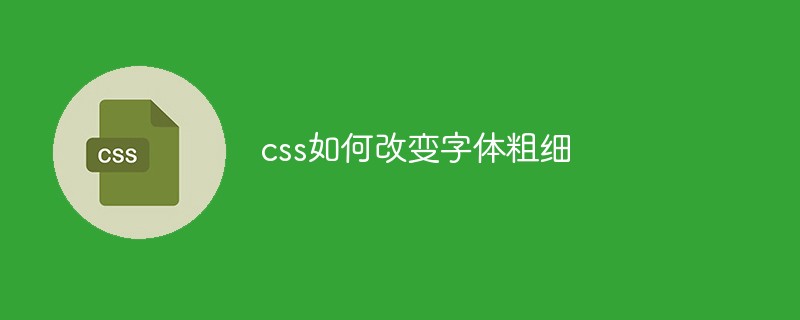 css如何改变字体粗细