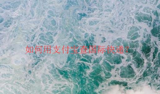 支付宝怎么进行国际快递查询?