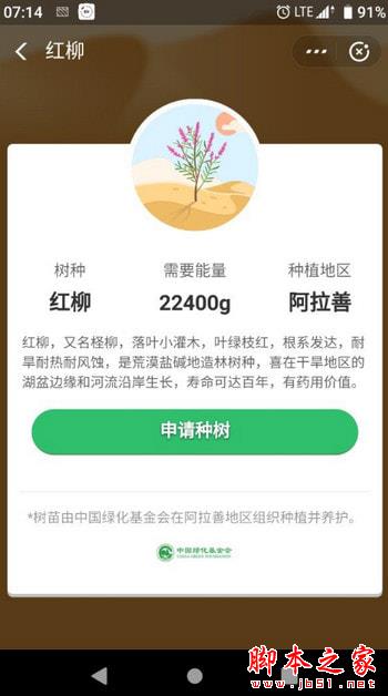 蚂蚁森林如何种红柳?种一棵红柳需要多少能量？