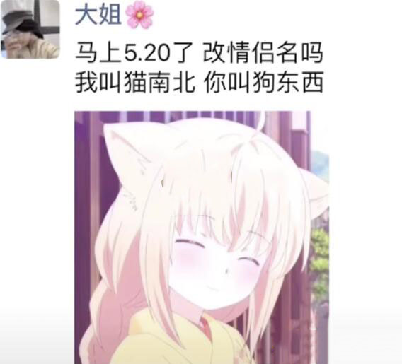 抖音猫南北狗东西是什么意思 猫南北狗东西情侣名含义分享