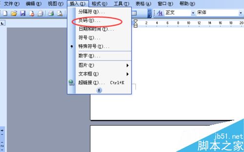 word文档怎么标注页码呢?