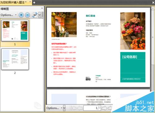 pdf怎么缩放页面大小? pdf文件缩放页面的教程