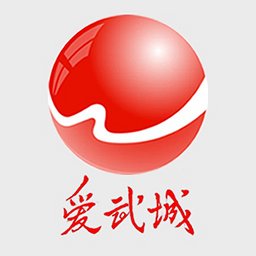 爱武城app