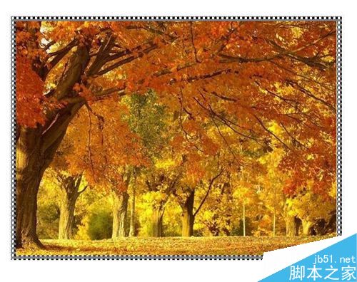word文档的图片怎么加上漂亮边框?