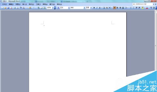 Word2003如何对文字字符进行缩放?