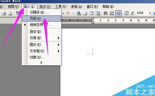 在word文档中如何插入页码?