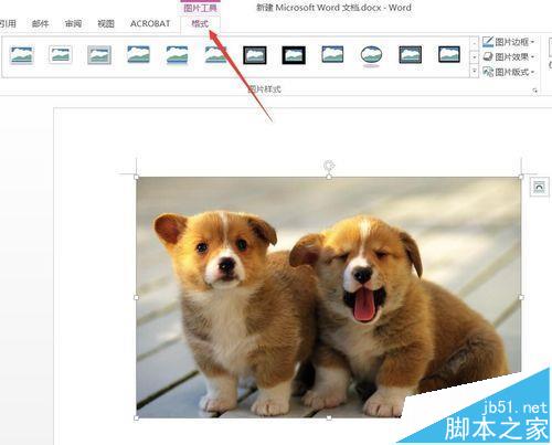 Word2016插入图片怎么调整亮度?