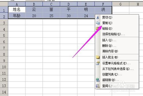 excel表格复制到word文档中如何删除表格的边框?