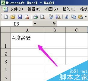 在excel的一个单元格里输入两行字或多行字