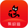 集极猫