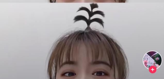 抖音头上有爱心小辫子特效怎么弄?