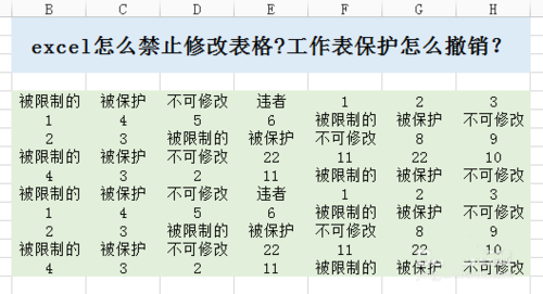 excel怎么禁止修改表格?工作表进行保护和撤销方法
