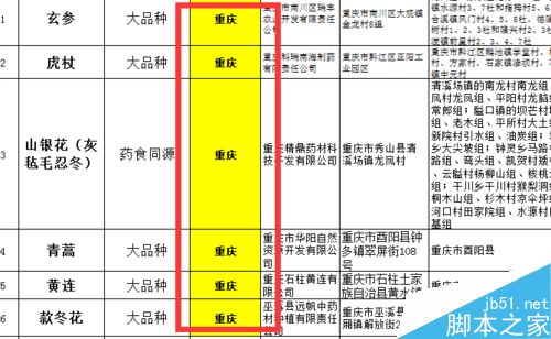在excel中的某一栏中怎么填充自己想要的颜色呢?
