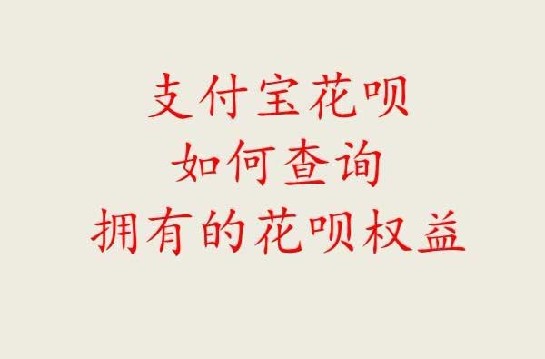支付宝怎么查询花呗权益?