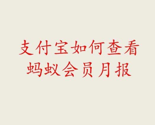 支付宝蚂蚁会员月报表怎么查询?