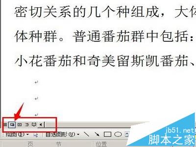 word中插入的gif动画怎么设置动起来?