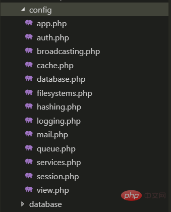 laravel config