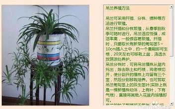PPT一张幻灯片上怎样输入大量文字 在PPT中制作滚动文本框