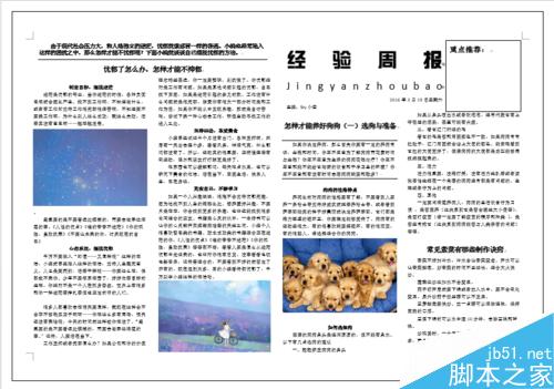 使用Word简单制作一份手抄报、报纸、海报