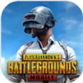 pubg mobile(国际服)安卓下载安装