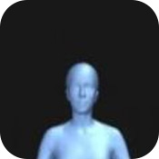 bodyvisualizer网页版