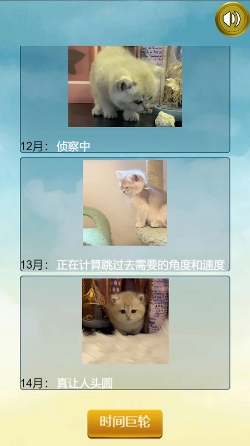 猫的一生重启模拟器游戏畅享版图片1