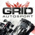 grid autosport中文手机版