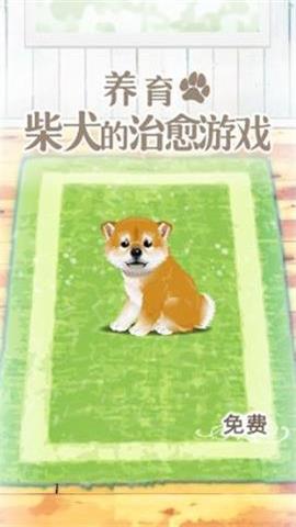 养育柴犬的治愈游戏