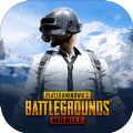 pubg mobile(国际服)正版体验服下载2022