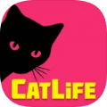 猫生模拟器游戏安卓版（CatLife）