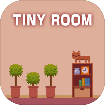 Tiny Room