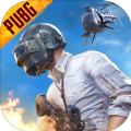 pubg mobile 国际版正式手机版