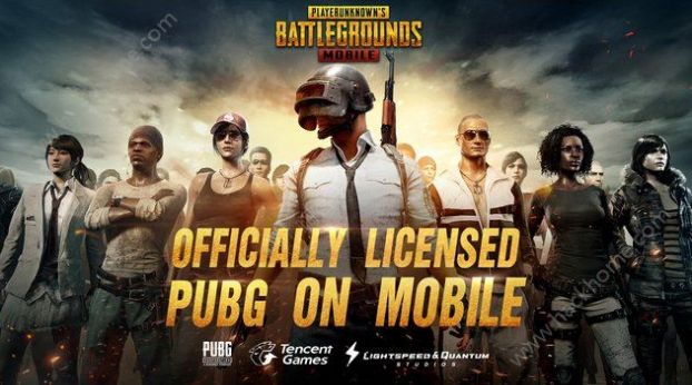 pubg(国际服）体验服下载安装最新正版图片1