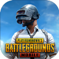 PUBG MOBILExArcane联动版游戏下载