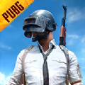 绝地求生pubg国际服原版正式服正式下载